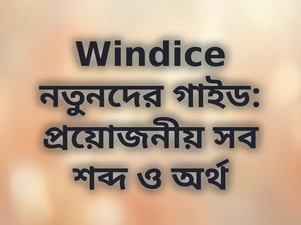 Windice Beginner Terminology