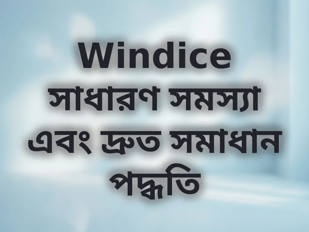 Windice সাধারণ সমস্যা সমাধান